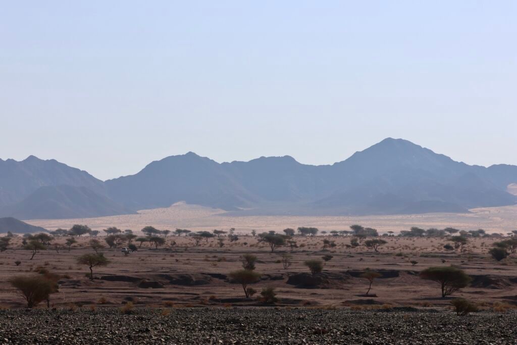 saoedi arabië 2025 11 07 (3)